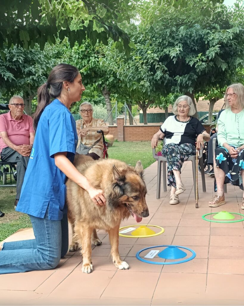 Terapia asistencial con perros